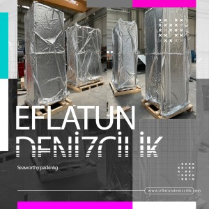 Lashing ve Yük Sabitleme Hizmetleri - Eflatun Denizcilik