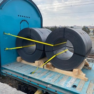 Lashing ve Yük Sabitleme Hizmetleri - Eflatun Denizcilik