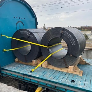 Lashing ve Yük Sabitleme Hizmetleri - Eflatun Denizcilik